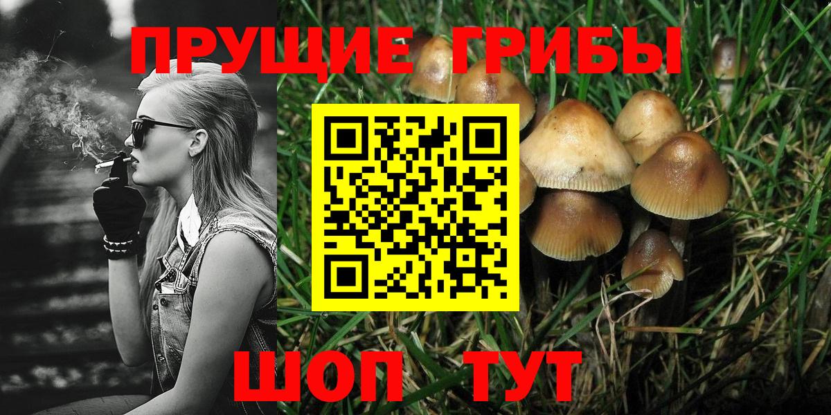 Псилоцибиновые грибы мицелий Ковров